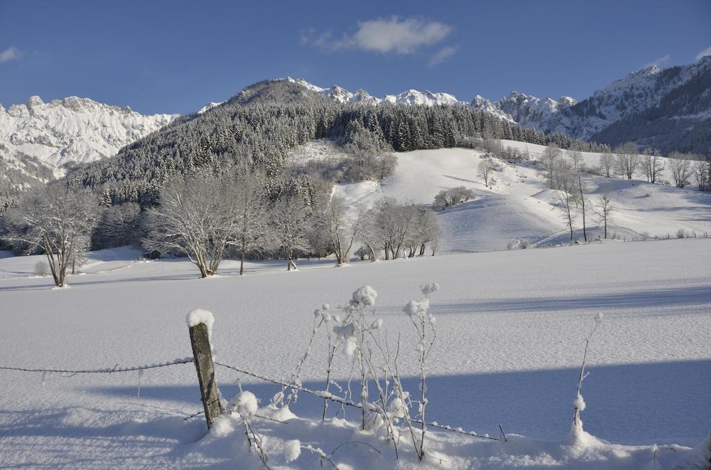 Haus Rosina Villa Admont Buitenkant foto