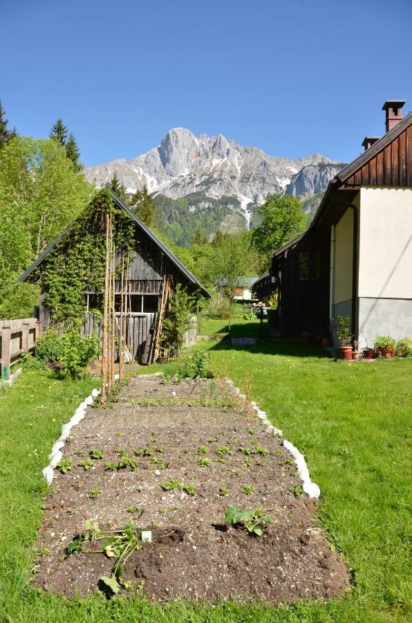 Haus Rosina Villa Admont Buitenkant foto