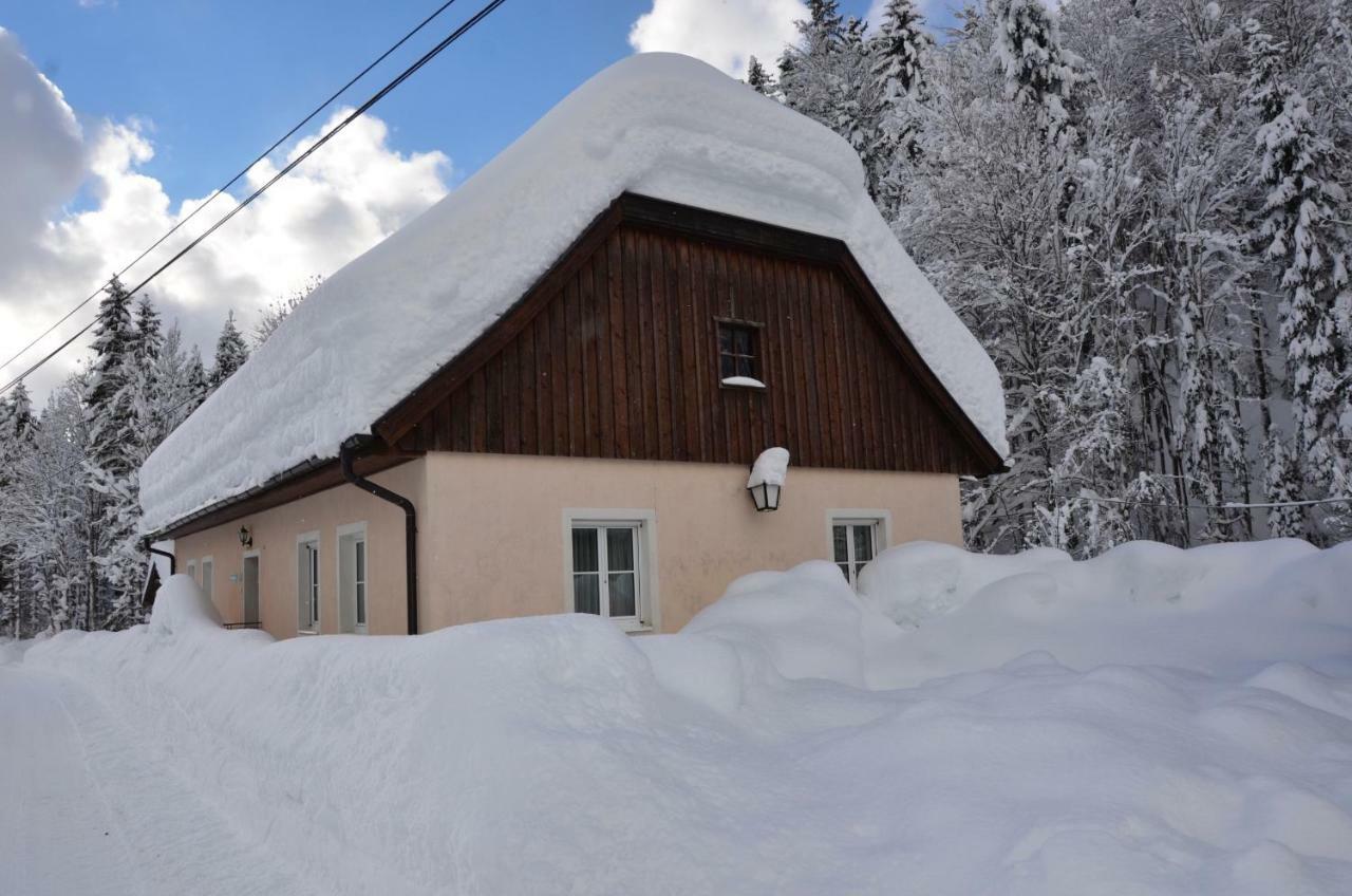 Haus Rosina Villa Admont Buitenkant foto
